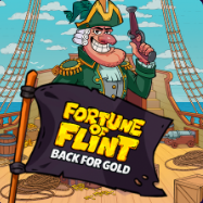 Fortune of Flint